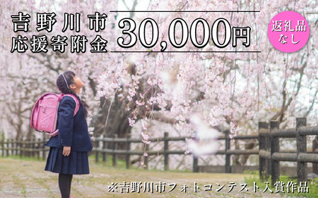 【 返礼品なし 30,000円  】 徳島県 吉野川市 への 寄附 応援寄附金