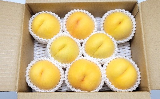 真夏の黄桃 2kg 秀品 柔らかめの品種 FSY-2752