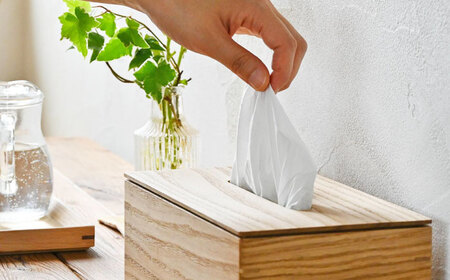 クリのティッシュケース【1450962】