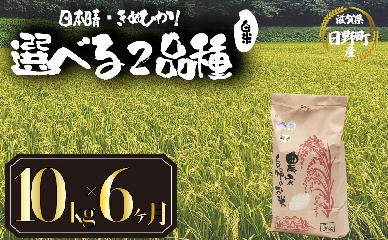 
            【 令和7年産 新米 10kg 定期便 6ヶ月 】 選べる 品種 日本晴 きぬひかり 米 白米 2025年産 にほんばれ キヌヒカリ 国産 滋賀県 日野町 農家直送 お米 精米 おこめ こめ 産地直送 ふるさと納税
          