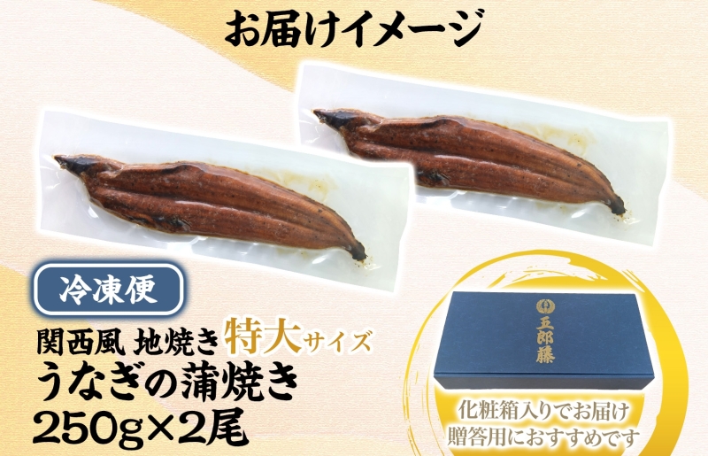 【贈答用】五郎藤 関西風地焼き 国産有頭旨鰻 250g×2尾 計約500g 特大 うなぎ ウナギ 蒲焼き 炭火 015B385-1