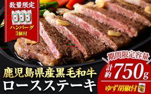 
            ＜14営業日以内に発送！＞＜3枚・計約750g＋ハンバーグ3個＞4等級以上！鹿児島県産黒毛和牛ロースステーキ3枚セット 黒毛和牛 ステーキ 冷凍【ナンチク】B1-02-v04
          
