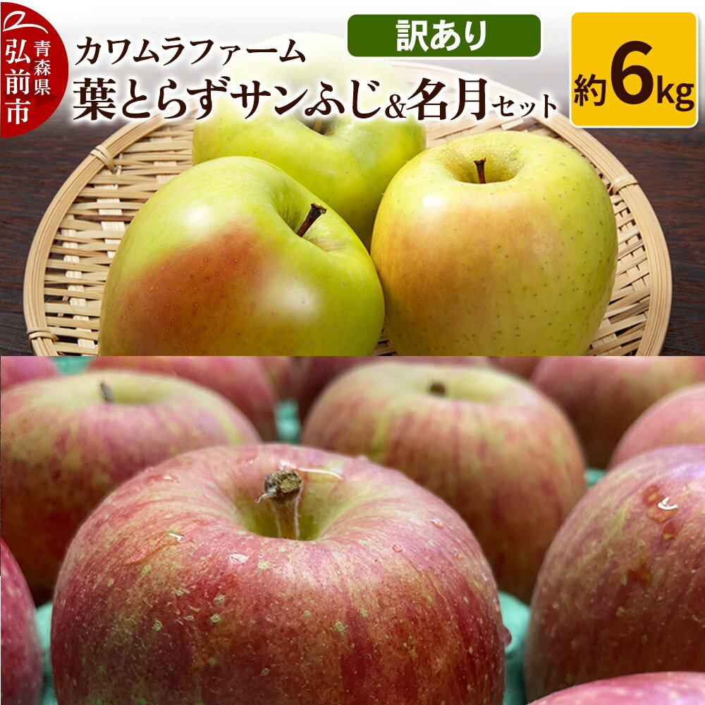 【ふるさと納税】りんご【先行受付】葉とらず サンふじ & 名月 セット 約6kg カワムラファーム 訳あり