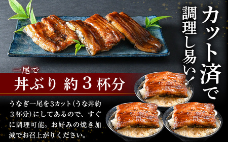 【通常発送：50セット限定】 無頭 うなぎ白焼き 1尾 （約250g） 3カット済 特製自家製たれ付き 【冷凍】 【ウナギ 鰻 蒲焼 鰻蒲焼 鰻白焼 肉厚 ジューシー 惣菜 和食 簡単調理】 [A-1