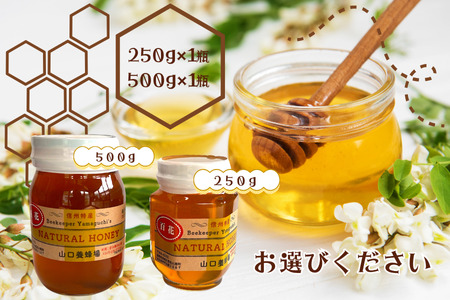 信州特産！！「国産純粋　天然 百花はちみつ」250ｇ｜ハチミツ 蜂蜜 [YY-102-01]