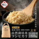 【ふるさと納税】【先行予約】【定期便12回】令和6年産 新米 コシヒカリ玄米 5kg×12回 伊与衛門農園の自然栽培米 ＜温度と湿度を常時管理し新鮮米を出荷！＞/ 米 高品質 鮮度抜群 ブランド米 福井県あわら市産 スマート農業 ※2024年10月中旬以降順次発送予定