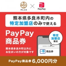 熊本県多良木町　PayPay商品券(6,000円分)※地域内の一部の加盟店のみで利用可