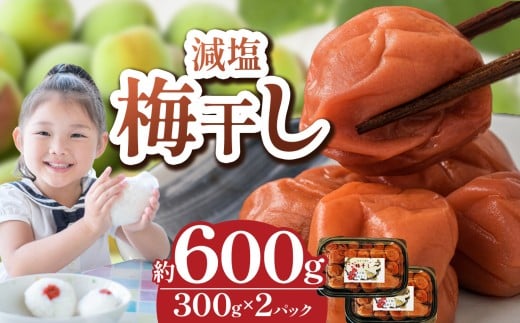 【 栃木県産 】梅干し 約300g×2 | 梅 梅干し 減塩 手摘み 天然 天日干し 手作り 塩漬け  栃木県 しもつけ市 下野市