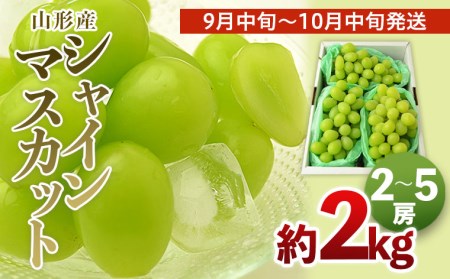 山形のシャインマスカット 秀品 約2kg(2～5房)[9中旬～10月中旬発送] 【令和6年産先行予約】FU22-794