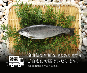 Cセット「桂川のやまめとます」