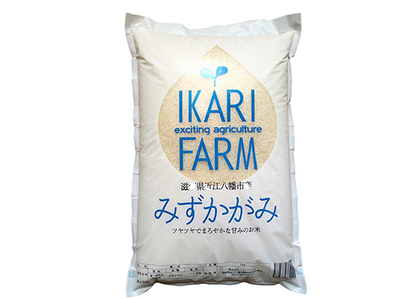 【新米】【7年産】 みずかがみ 白米 5kg 冷めても美味しい あっさりとした味わい 【C014U2】 近江米 みずかがみ