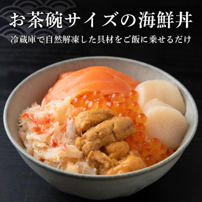 ふるさと納税 千歳市 海鮮丼 具 60g×8 丼ぶり 刺身 海鮮セット 【北海道】【札幌バルナバフーズ】 |  | 01
