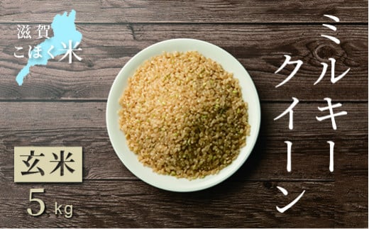 令和6年産【新米】 滋賀県湖北産 湖北のミルキークイーン 5kg (玄米)　滋賀県長浜市/株式会社エース物産[AQAK009]