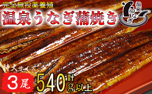 
温泉うなぎ蒲焼 3尾（180gサイズ） 国産うなぎ 人気 国産 蒲焼 蒲焼き かば焼き 鰻屋 個包装 冷凍 真空 ＜104-016_5＞
