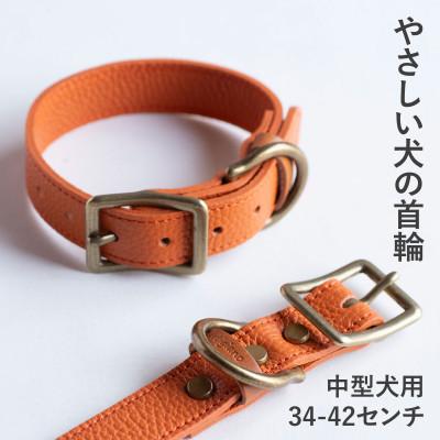 ふるさと納税 和泉市 首輪 本革 イタリアンレザー オレンジ 中型犬用 (34-42センチ)ペット用品【dc-01ss】