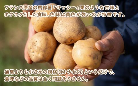 「数量限定訳あり品」じゃがいも「サッシー」Mサイズ・10kg BHRG059