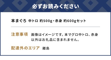 本まぐろ 中トロ 約500g・赤身 約600gセット 鮪 海鮮丼 刺し身 刺身 盛り合わせ 冷凍 魚の刺身 大分県産 九州産 津久見市 国産【tsu000309】