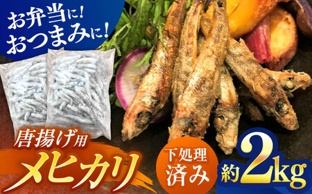 高知県産メヒカリ唐揚げ用 大容量約2kg 【アジアマリン有限会社】 [ATCM003]