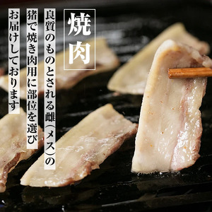 はくつる　焼肉用猪肉スライス 272-1