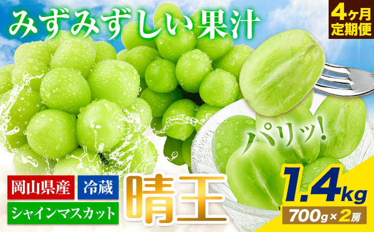 【先行予約】ぶどう 4ヶ月 定期便 シャインマスカット 晴王 1.4kg（2房） 岡山県産《7月上旬-10月末頃出荷》 ハレノフルーツ マスカット 送料無料 岡山県 浅口市 フルーツ 果物 国産 岡山県産【配送不可地域あり】（北海道・沖縄・離島）---124_c1938_25_160000_jul4_tei_tei---