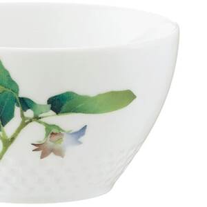 ノリタケ【京香旬彩】11cmボウルセット(絵変り5個)【1637977】