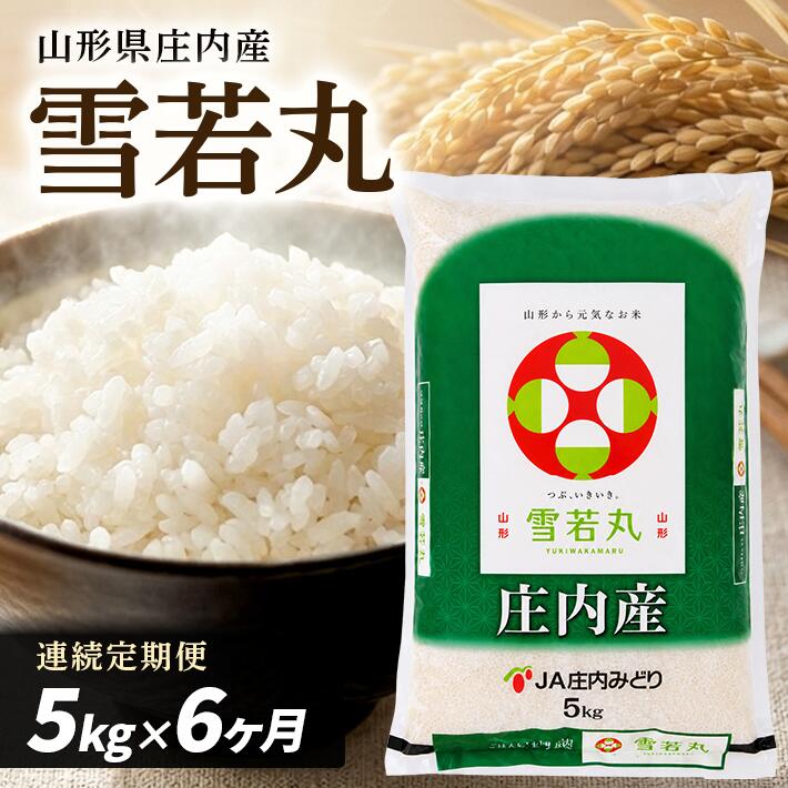 【ふるさと納税】≪新米予約≫ ≪6ヶ月定期便≫ 雪若丸 5kg×6ヶ月 計30kg 山形県庄内産 ご希望期間の毎月下旬頃にお届け 東北 酒田市 庄内地方 庄内平野 お米 精米 白米 ブランド米 庄内米 ごはん ご飯 農協 JA 産地直送