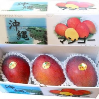 【2025年7月頃発送】離島の恵み　完熟マンゴー1.0kg【配送不可地域：離島】