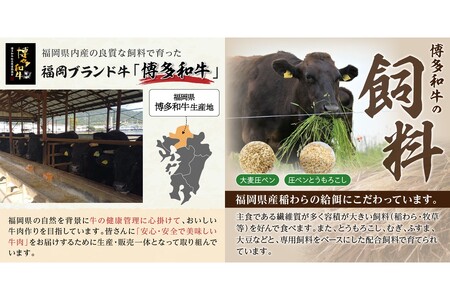 博多和牛 モモスライス【B-172】福岡県産 博多和牛 上質 肉汁 芳醇な風味 焼肉 モモスライス