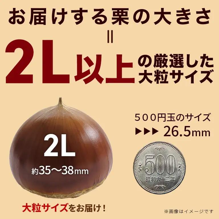 生栗 2kg 栗 2L以上 AH-006