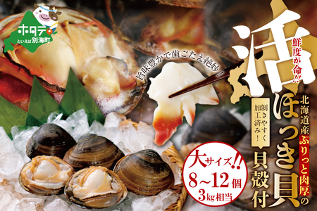 鮮度抜群 貝殻付 活 ホッキ 大サイズ 8～12個 3kg相当  貝の片方に予めナイフを入れ、剥きやすく食べやすい状態でお届け （ ほっき ホッキ 北寄 ほっき貝 ホッキ貝 北寄貝 海鮮 北海道 野付 別海町 人気 ふるさと納税 ）