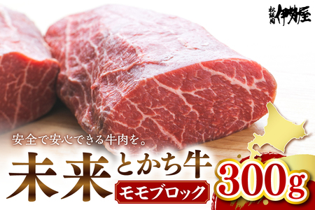 北海道十勝芽室町　未来とかち牛モモブロック　300g　 北海道 牛肉 ビーフ ステーキ サーロイン 芽室町 me073-006c