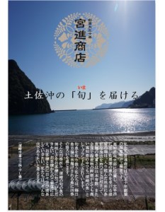 からすみ 本からすみ 130g 高級 珍味 特選 宮進商店謹製  ( 国産 高級 珍味 高知 土佐 つまみ 唐墨 からすみ 珍味 カラスミ 珍味 からすみ 珍味 カラスミ 珍味 からすみ 珍味 カラス
