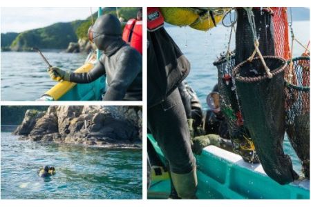 海女採り 尾鷲産天然岩牡蠣（いわがき）　大容量５kgセット（カキ平均サイズ約400g）　MK-13