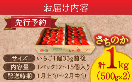 ヒラノイチゴ 500g×2パック 計1kg　いちご　フルーツ　果物　愛西市/平野苺[AEAY001]