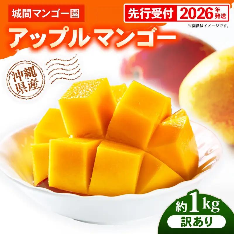 【先行受付】【2026年発送】城間マンゴー園のアップルマンゴー 訳あり 約1kg - 先行予約 沖縄県産 産地直送 南国フルーツ 旬の味覚 季節の果物 ご自宅用 訳アリ 家庭用 沖縄マンゴー 沖縄県 八重瀬町
