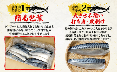 訳あり 塩さば フィレ 約3kg 期間限定 増量 中 鯖鯖鯖鯖鯖