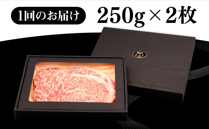 【全12回定期便】 壱岐牛 サーロインステーキ 500g（250g×2枚）《壱岐市》【株式会社イチヤマ】 肉 牛肉 サーロイン ステーキ 焼肉 BBQ [JFE042]