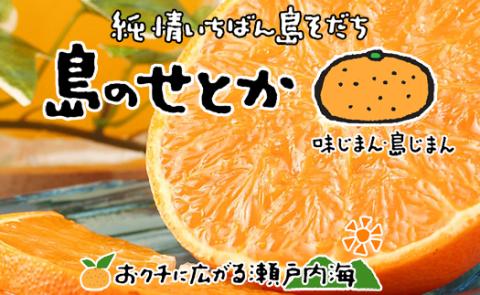 せとか 約 3kg 10玉 ~ 15玉 ( L ~ 3L ) 【3月上旬から発送予定】 期間限定 愛媛県産 みかん  希望の島