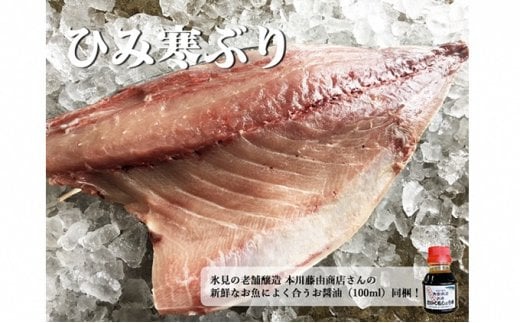 【ふるさと納税】 【先行予約】 【自宅で簡単調理！】ひみ寒ぶり＜半身＞※配送エリア限定※ 氷見 寒鰤 ブリ 富山 湾 能登 寒ブリ 半分