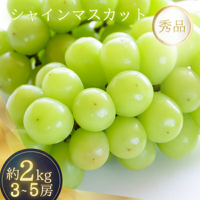 【ふるさと納税】 シャインマスカット たっぷり 約2kg 箱入り 【2025年8月中旬～9月上旬頃順次発送】 | ぶどう マスカット フルーツ 果物 くだもの 食品 人気 おすすめ 送料無料
