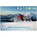 【ふるさと納税】HAKUBA VALLEY 10 スキー場共通リフト券【大人1日券5枚】【1560077】