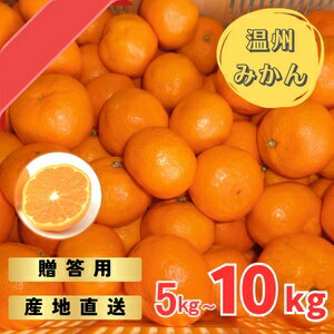 【ふるさと納税】 【先行予約】宮川早生みかん 贈答用 秀品 5kgまたは10kg（2S〜2L）【2025年11月下旬から12月中旬までに順次発送】 / みかん 蜜柑 柑橘 果物 フルーツ 早生 秀品 贈答