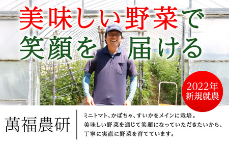 【2026年発送】〈萬福農研〉産地直送！ミニトマト(プレミアムルビー) 2kg