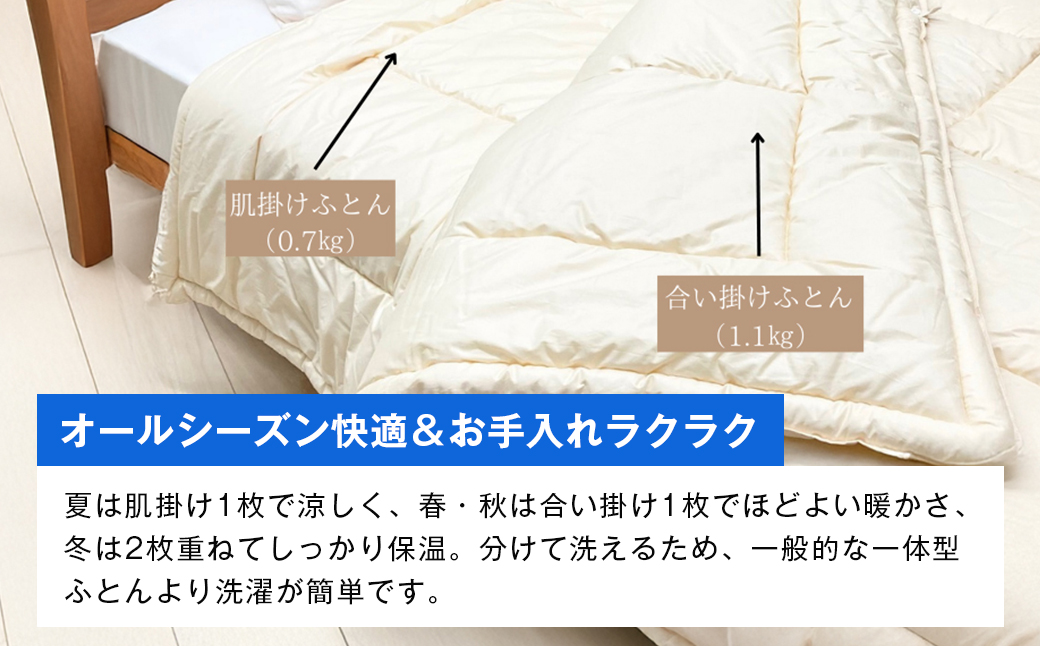 清潔掛ふとん 洗えるインビスタ ダクロン ２枚合わせ 日本製 SL ふわもち15TW