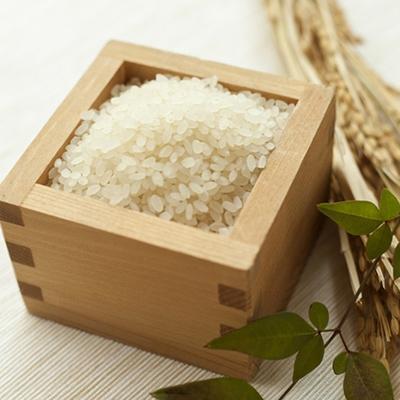 ふるさと納税 酒田市 はえぬき精米10kg(5kg×2袋) |  | 01