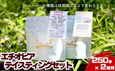 エチオピア テイスティングセット 250g × 2種類 ドリンク コーヒー スペシャルティコーヒー 中挽き