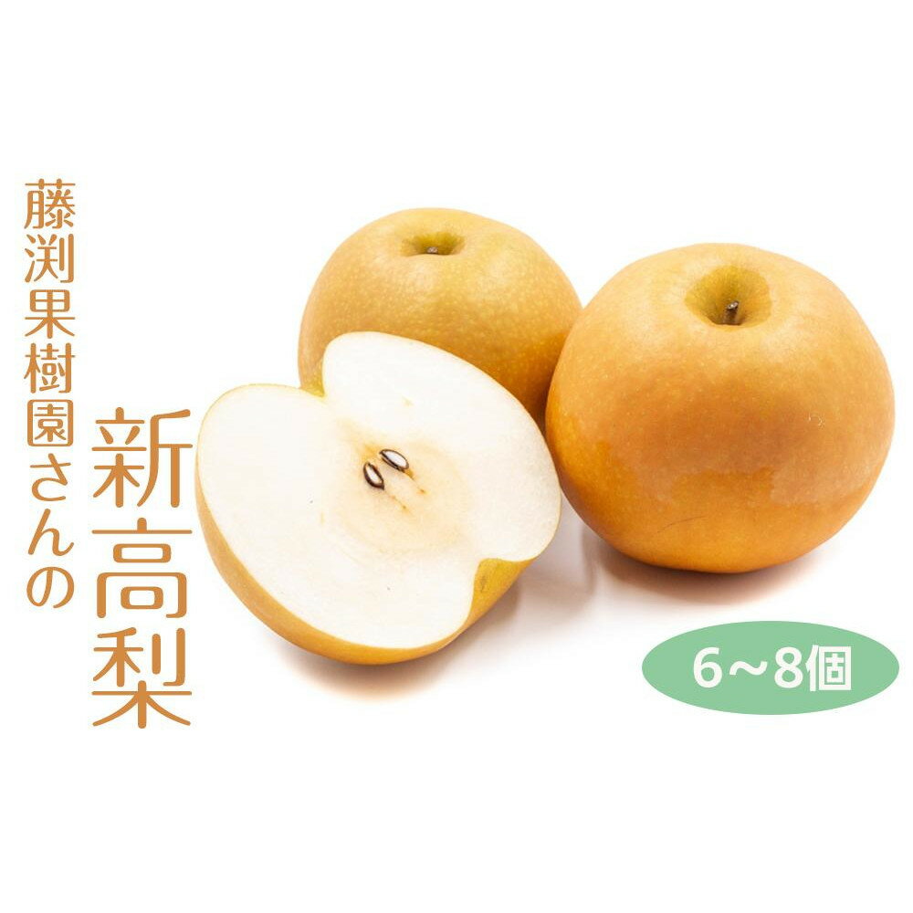 【ふるさと納税】藤渕果樹園の新高梨（にいたかなし）（2）【6～8玉入り】 | フルーツ 果物 くだもの 食品 人気 おすすめ 送料無料
