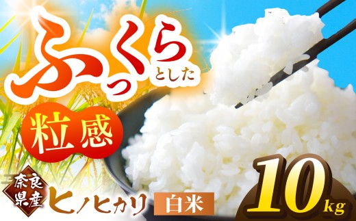 奈良県産ヒノヒカリ 白米10kg | 奈良県 お米 ヒノヒカリ 米 おすすめ 人気