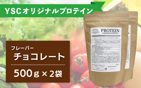 YOKOHAMA STRENGTH & CONDITIONING PROTEIN COMPLETE NUTRITION　2袋 ホエイプロテインパウダー チョコレート風味 ドリンク メンテナンス ホエイ 健康 体 維持