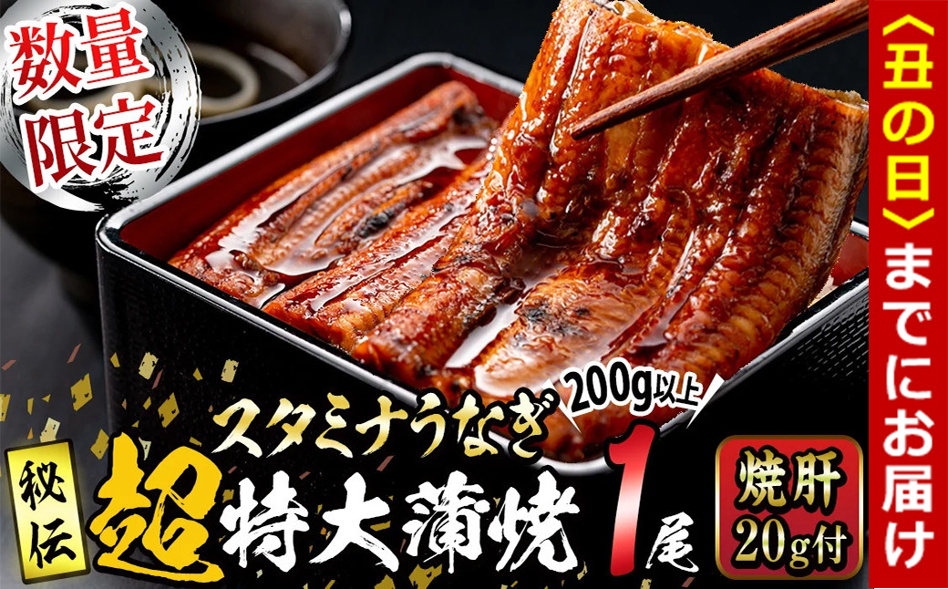 
            【7/7までの入金で丑の日までにお届け】【数量限定】鹿児島県産！秘伝の特上スタミナうなぎ超特大蒲焼き1尾＜200g以上！＞焼肝20g付き！ a1-101
          